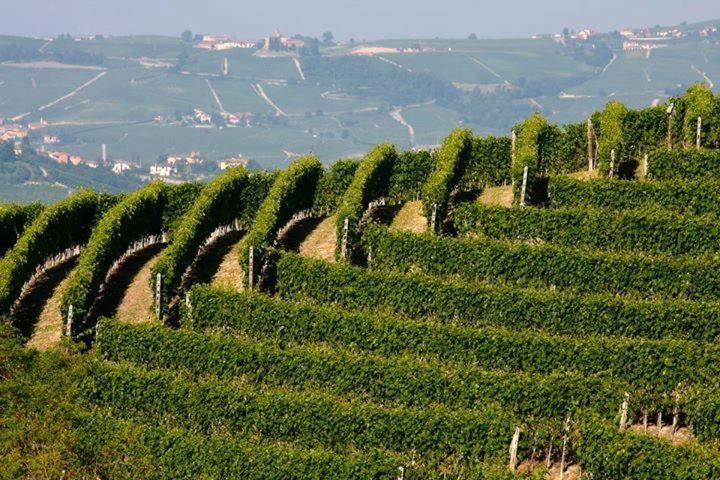 Agriturismo Cascina Rabalot Diano dʼAlba Extérieur photo