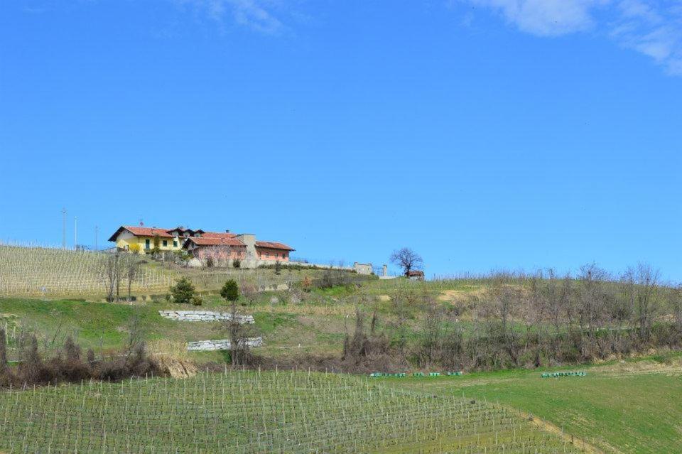 Agriturismo Cascina Rabalot Diano dʼAlba Extérieur photo