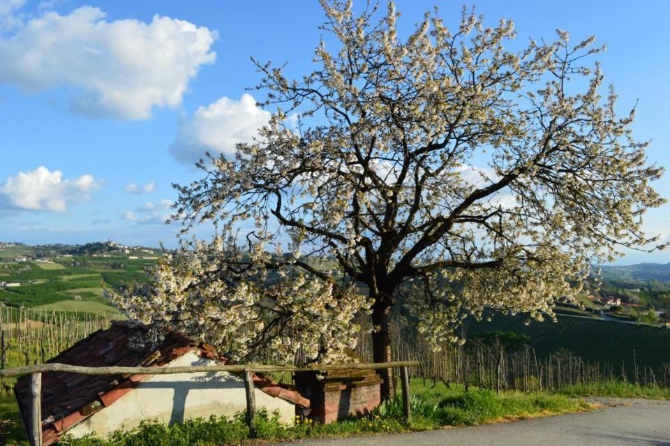 Agriturismo Cascina Rabalot Diano dʼAlba Extérieur photo