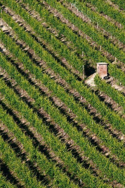 Agriturismo Cascina Rabalot Diano dʼAlba Extérieur photo
